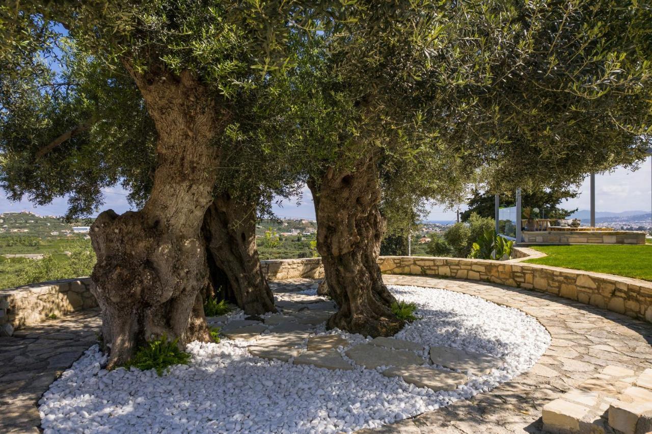 OliveNest Chania Executive Villa Perivólia Zewnętrze zdjęcie